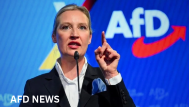 afd news